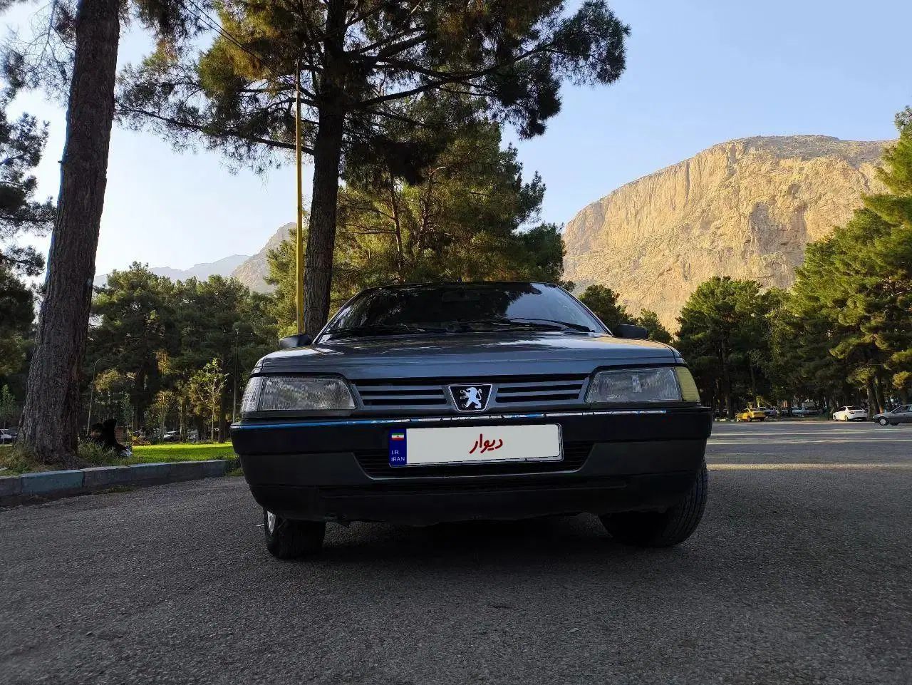 پژو 405 GLX - 1391