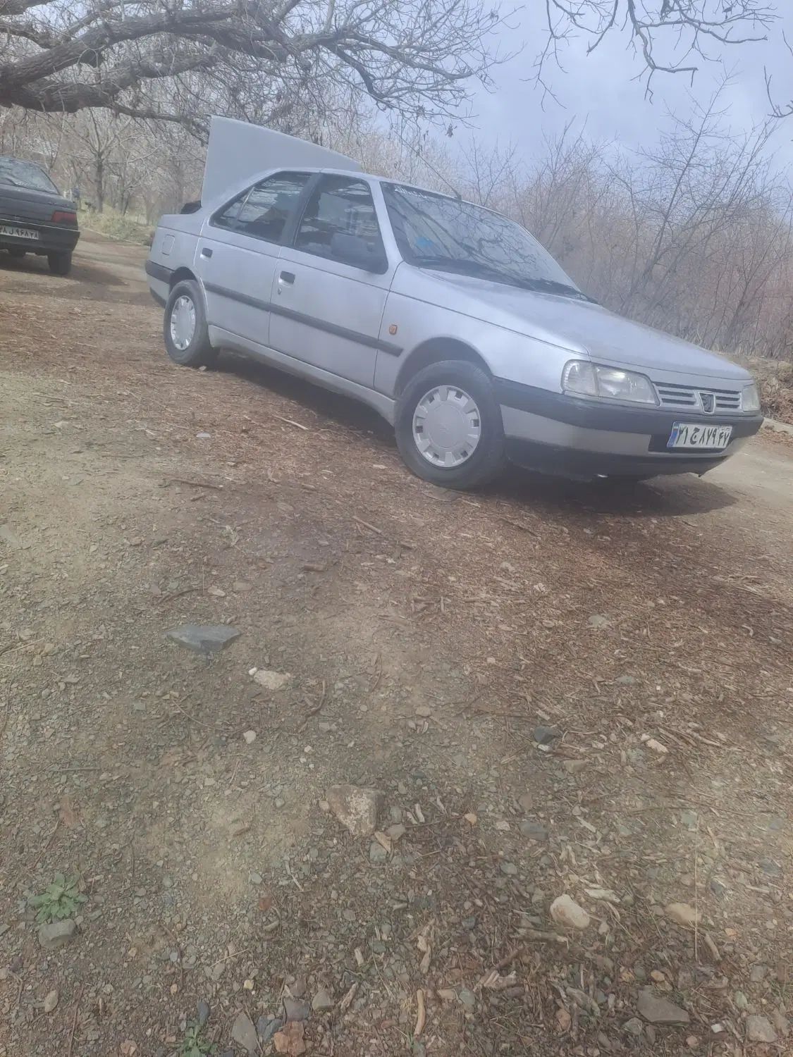 پژو 405 GLX - 1390