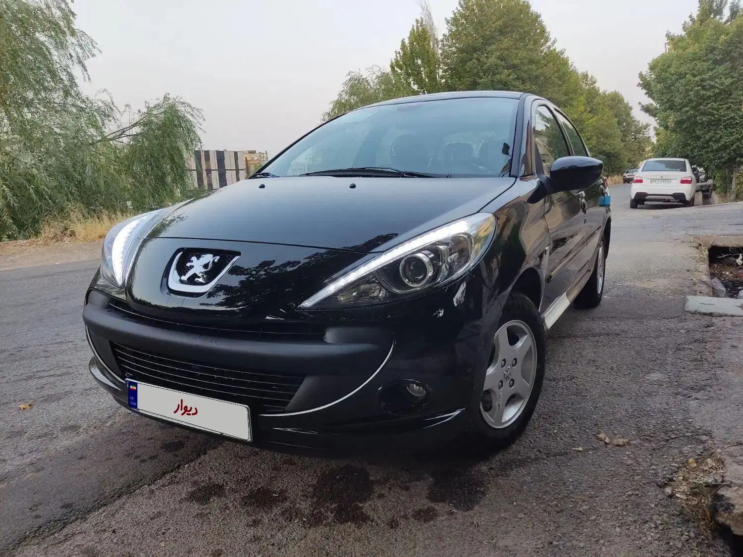 خودرو پژو، 207 آگهی ann_20277253