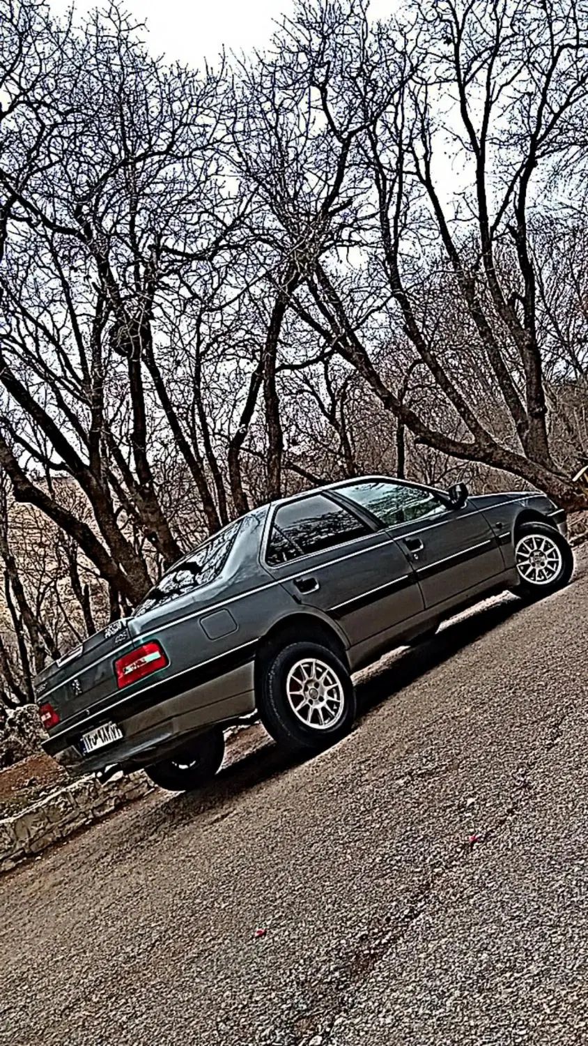 پژو 405 GLX - دوگانه سوز - 1393