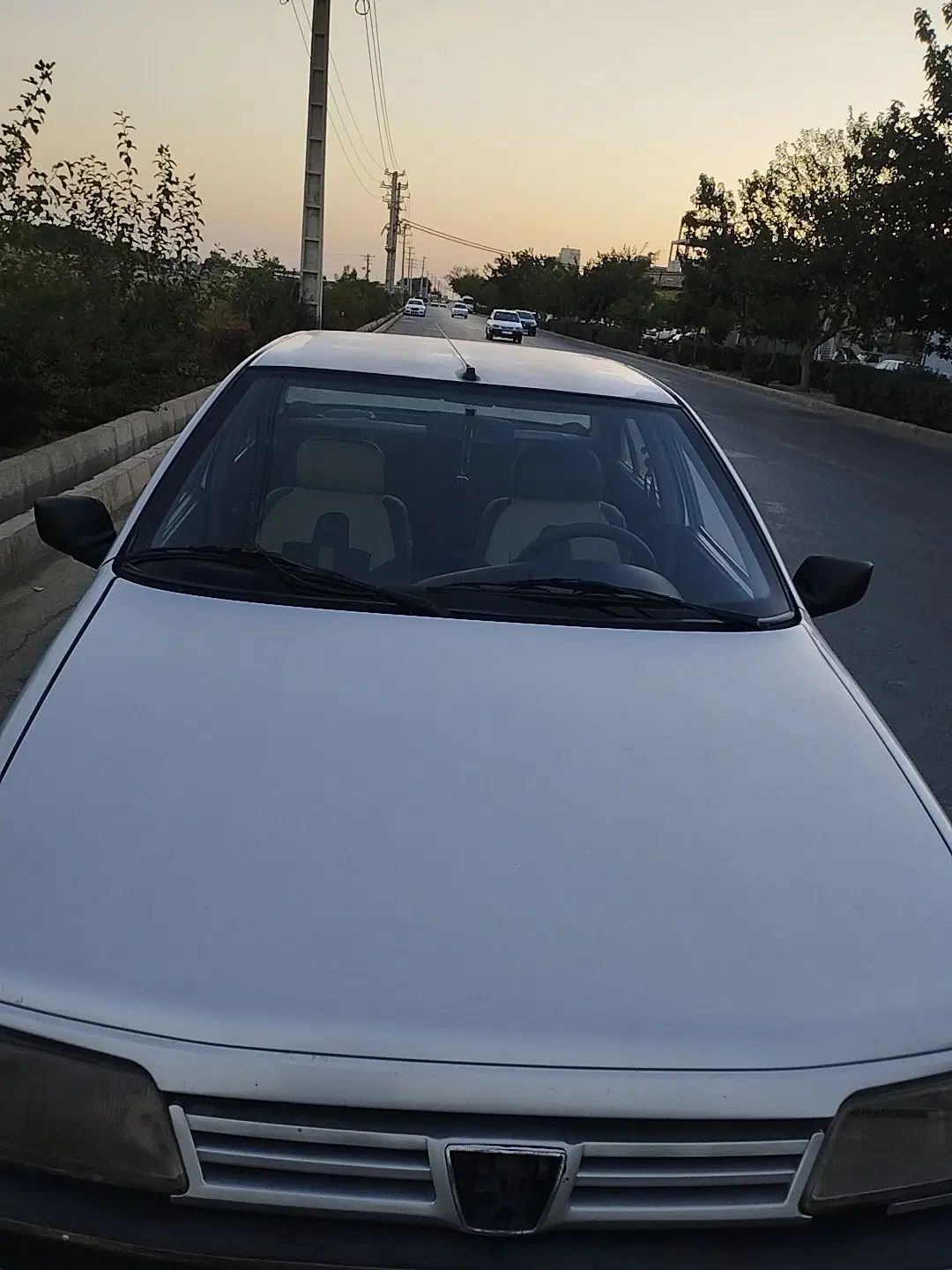 پژو 405 GLX - دوگانه سوز - 1389