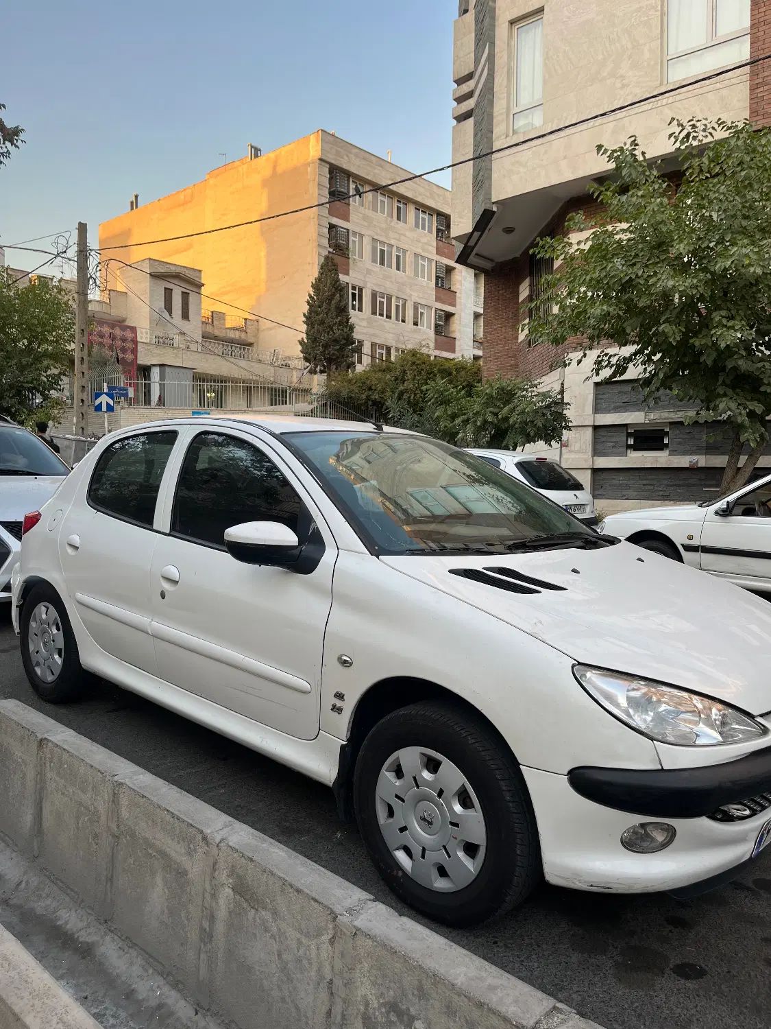 پژو 206 تیپ 2 - 1389