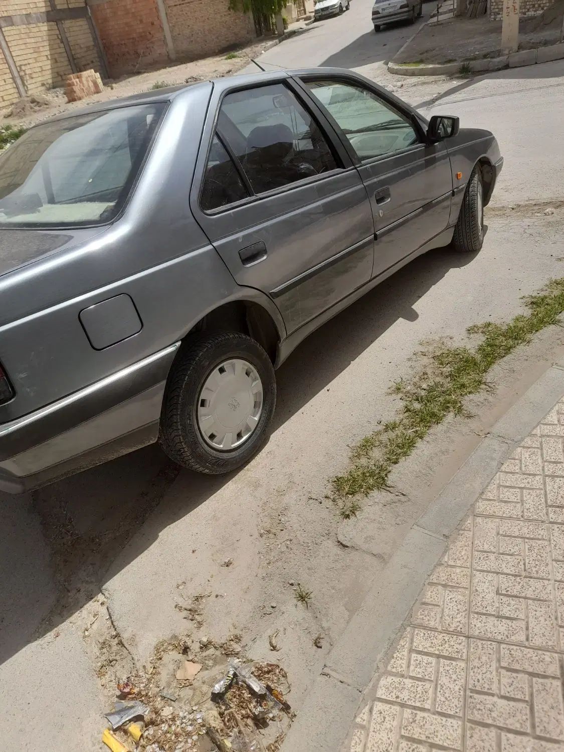 پژو 405 GLX - دوگانه سوز - 1393