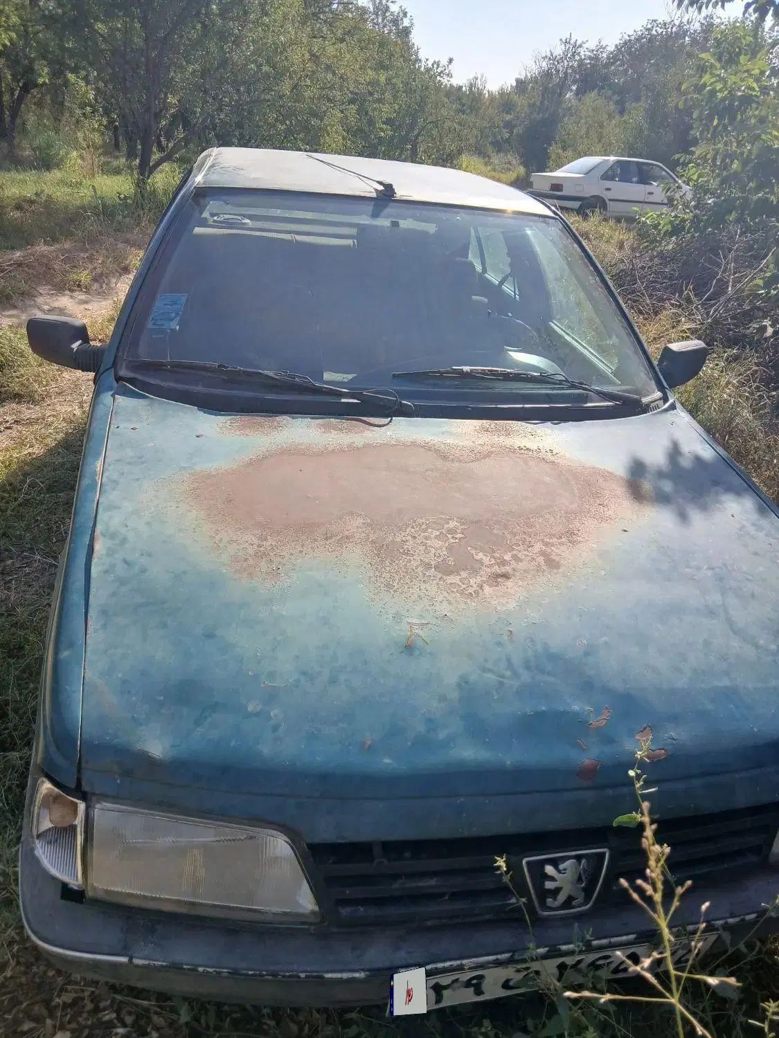 پژو آردی دوگانه سوز CNG - 1380