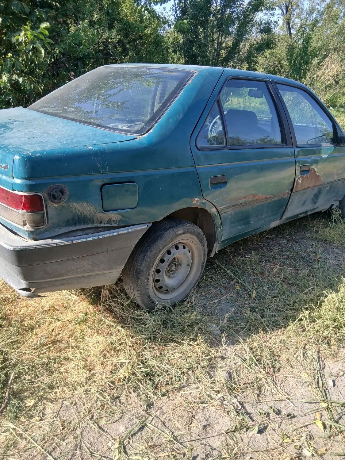پژو آردی دوگانه سوز CNG - 1380