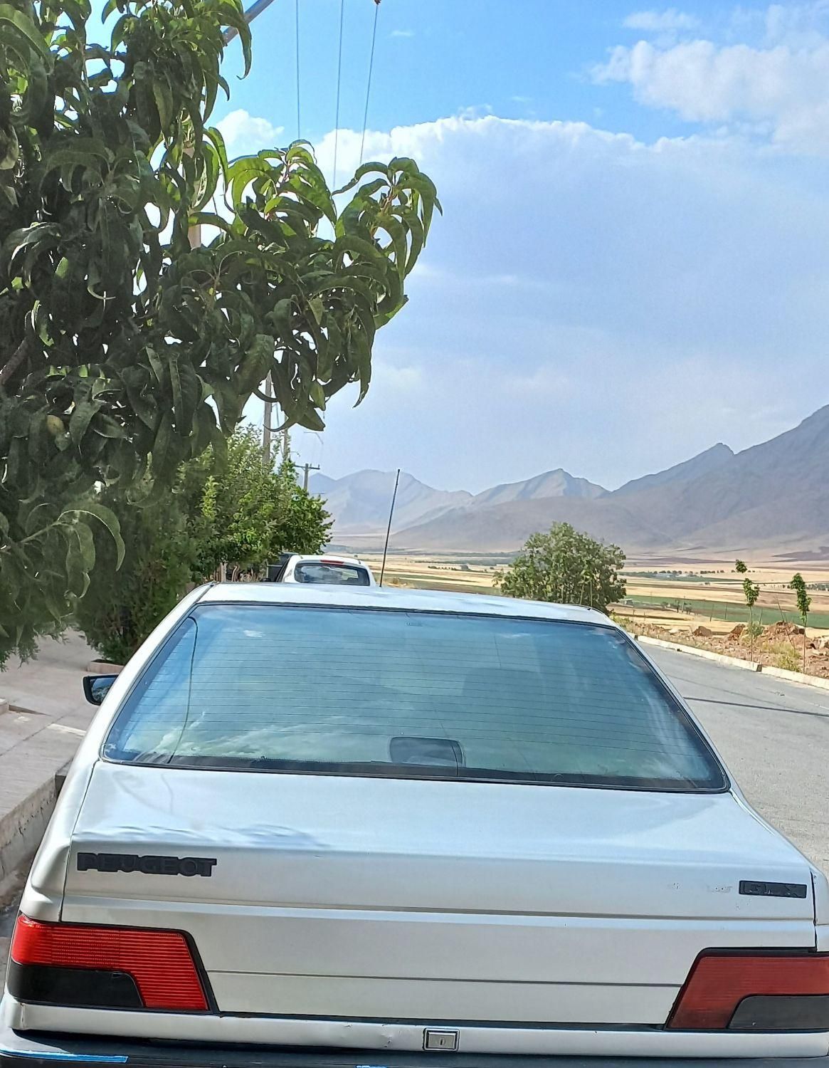 خودرو پژو، 405 آگهی ann_20281297