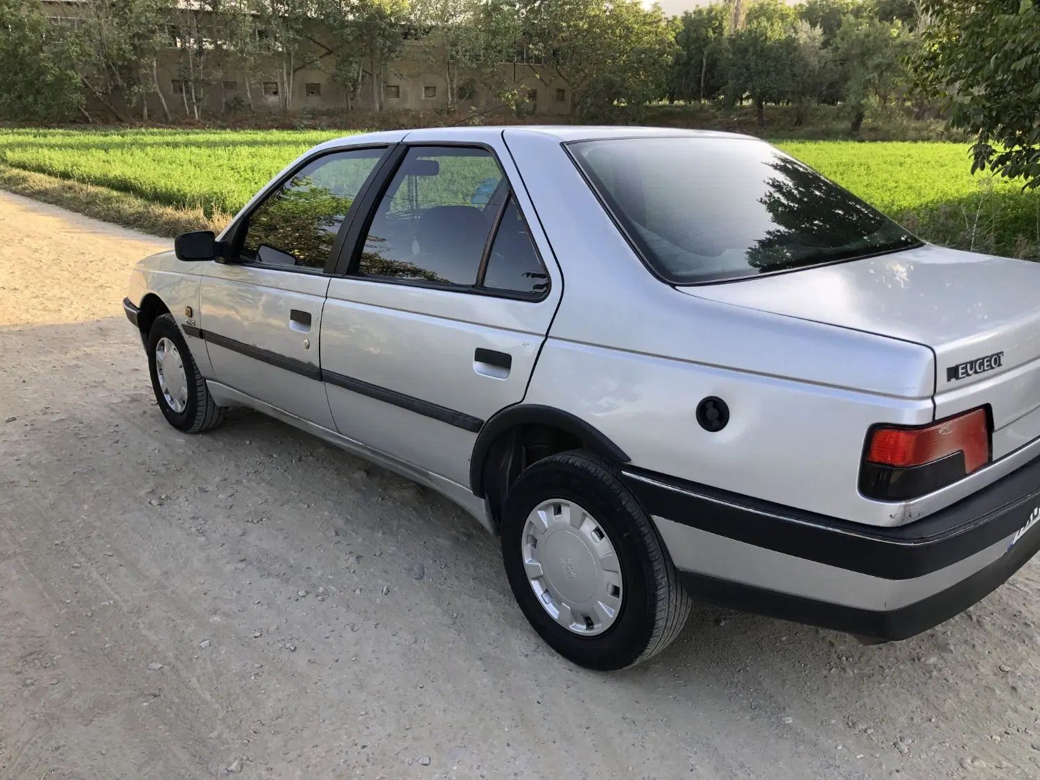 پژو 405 GLX - دوگانه سوز - 1389