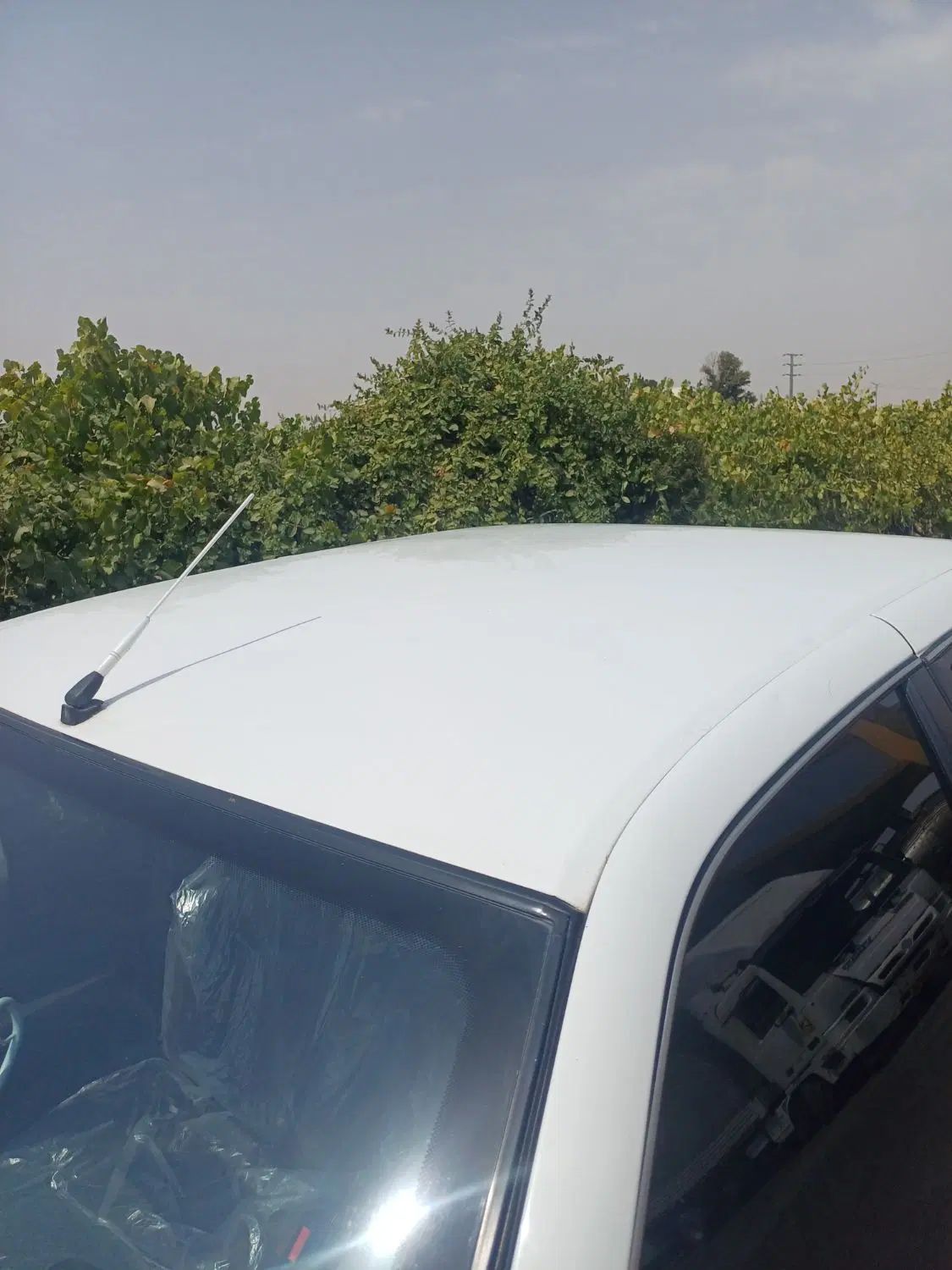 پژو پارس دوگانه سوز - 1389