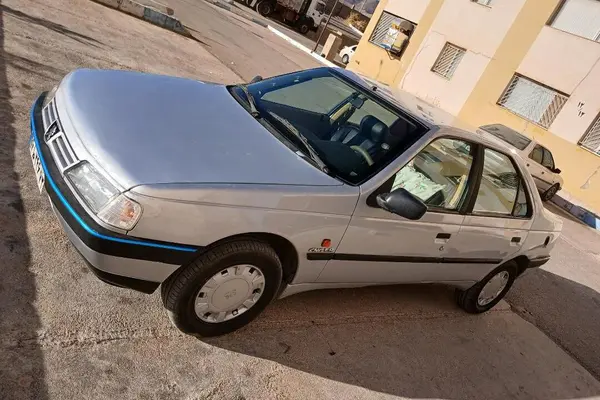 پژو 405 GLX - دوگانه سوز - 1393
