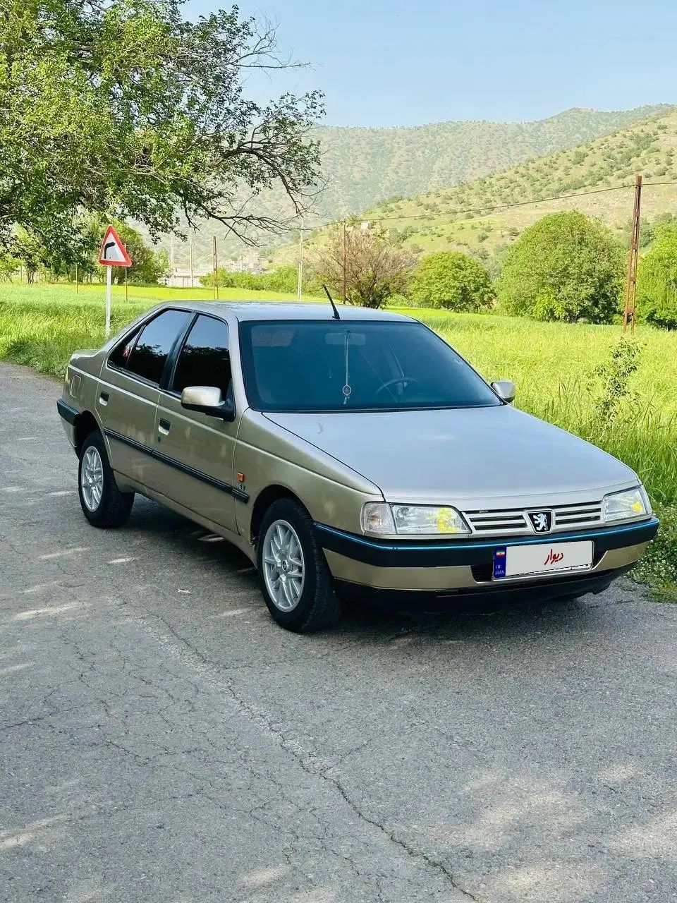 پژو 405 GLX - 1383
