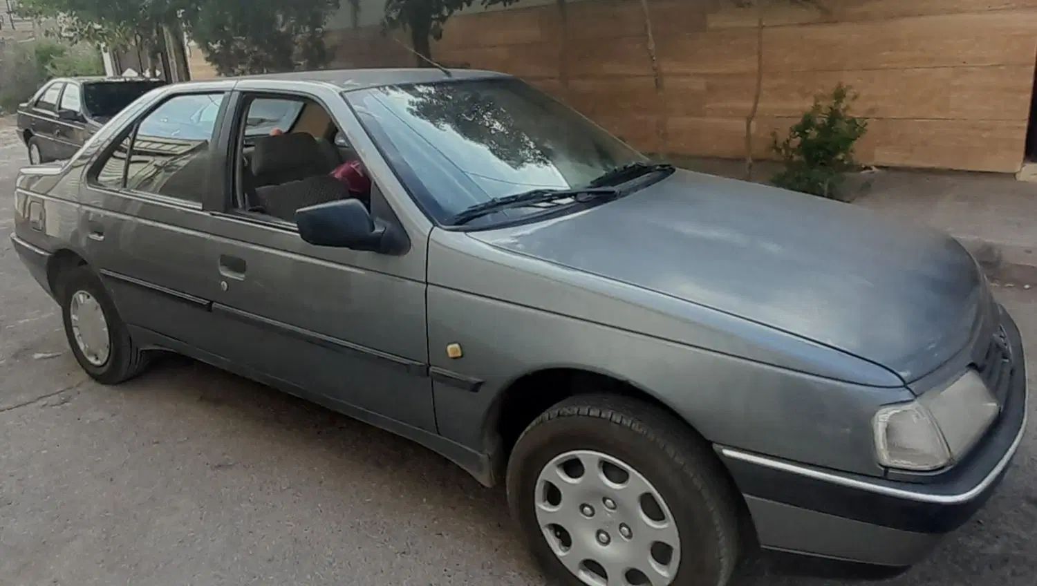 پژو 405 GLX - دوگانه سوز - 1391