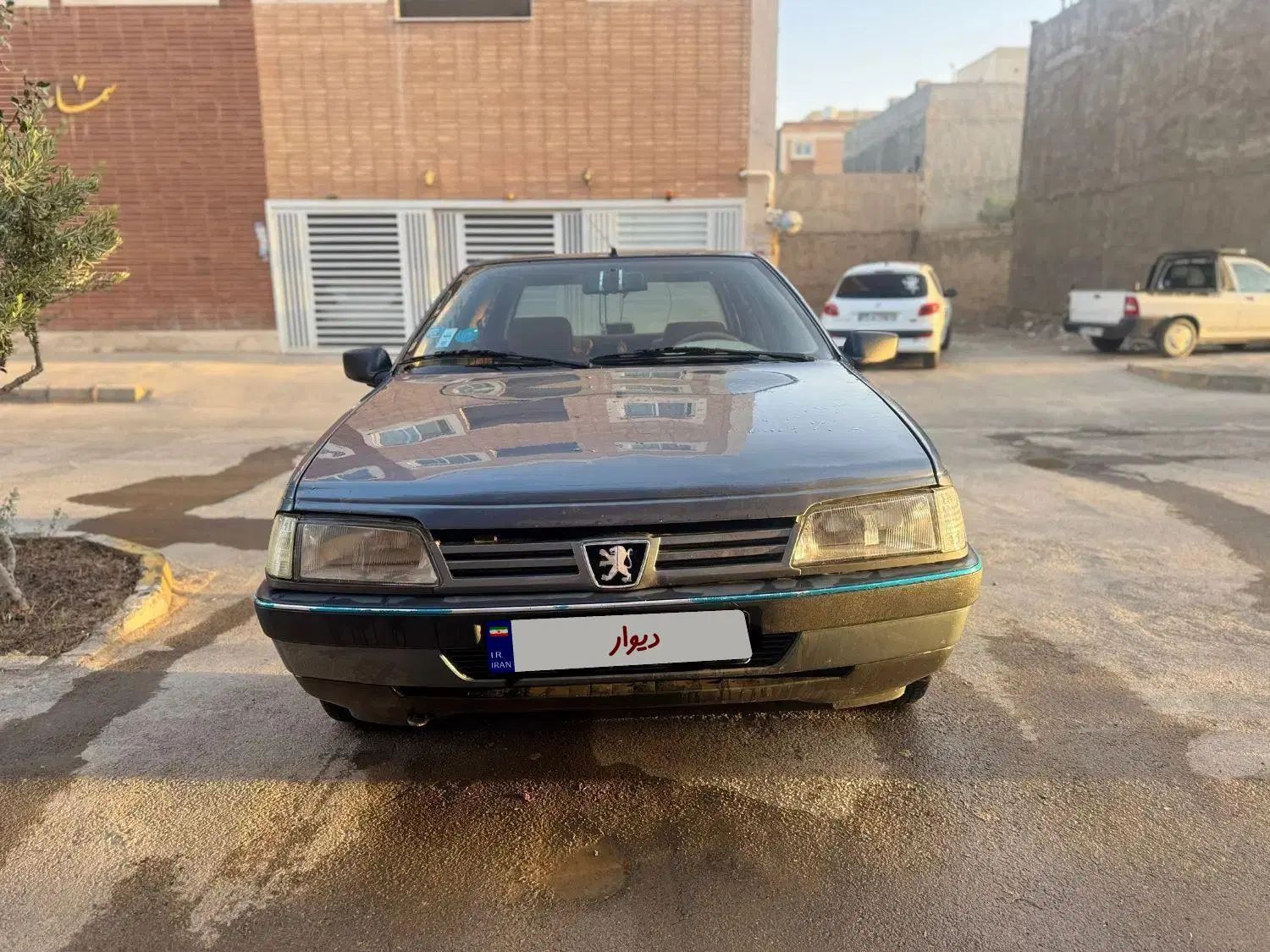 پژو 405 GLX - دوگانه سوز - 1393