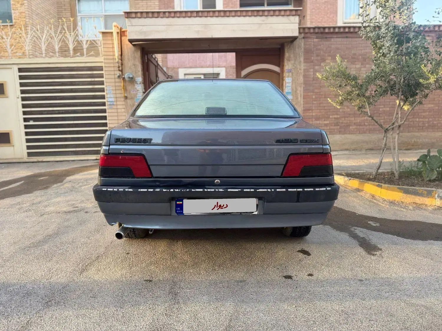 پژو 405 GLX - دوگانه سوز - 1393