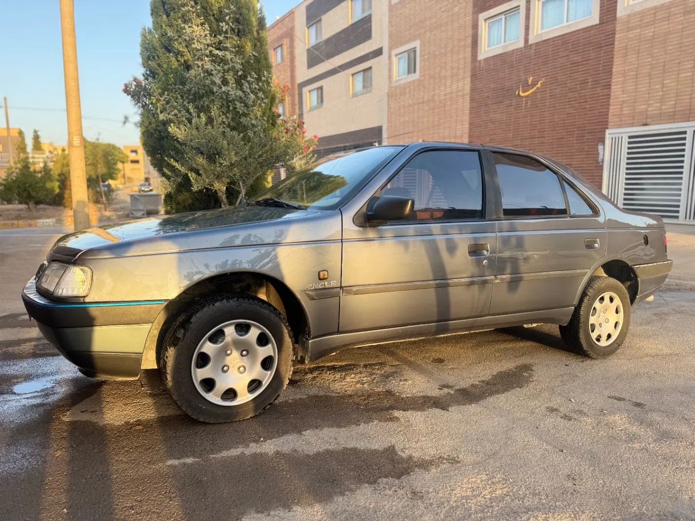 پژو 405 GLX - دوگانه سوز - 1393