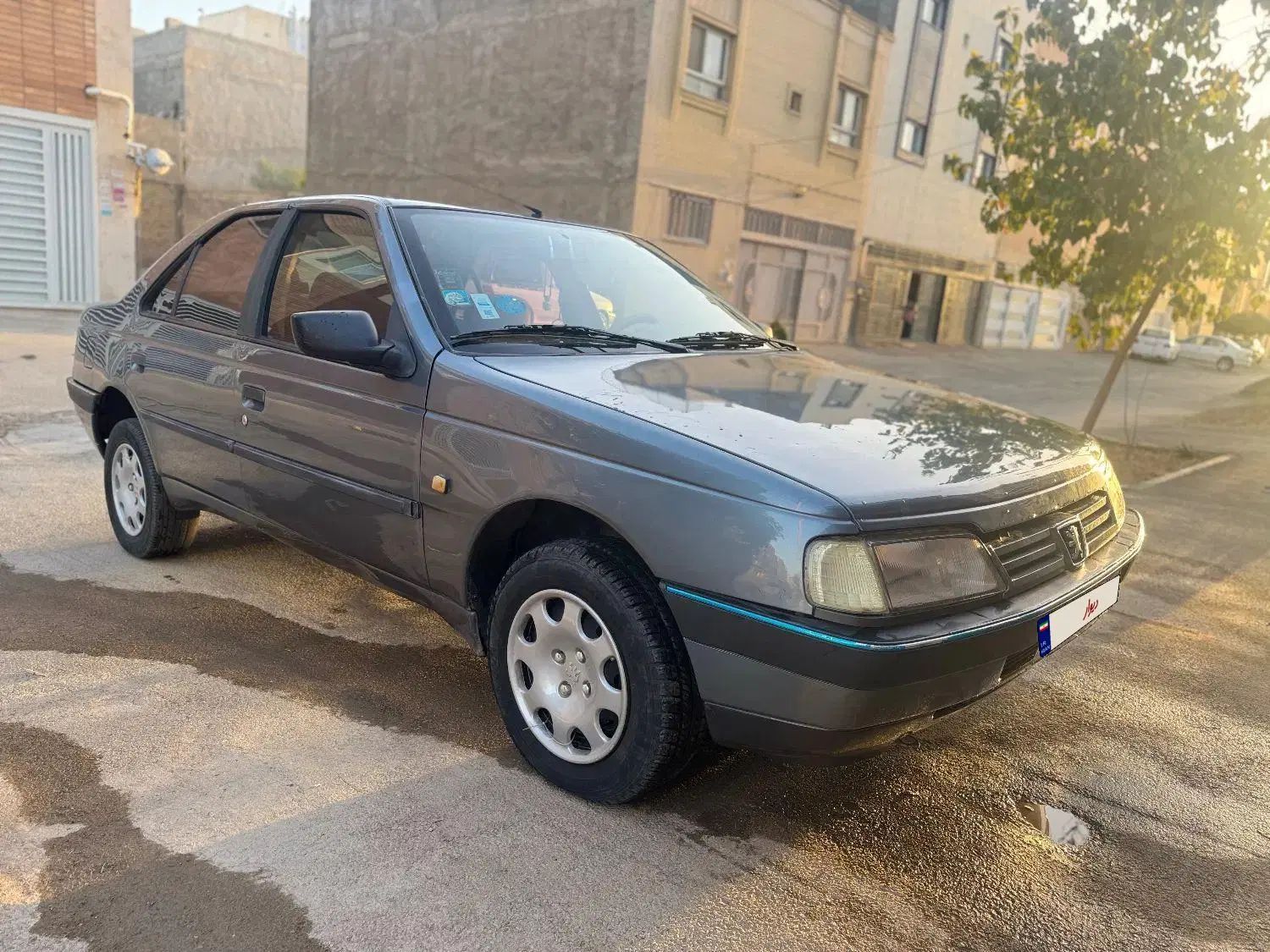 پژو 405 GLX - دوگانه سوز - 1393