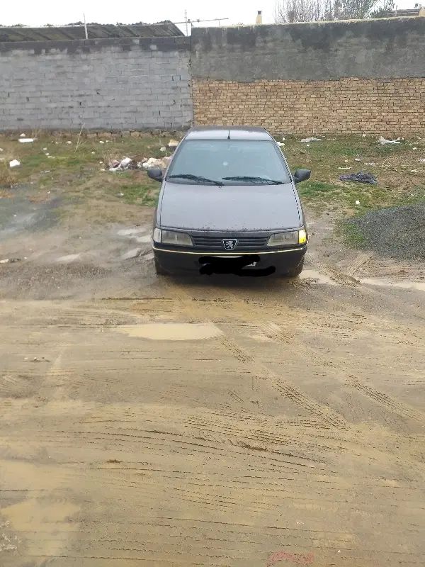پژو روآ دوگانه سوز - 1385