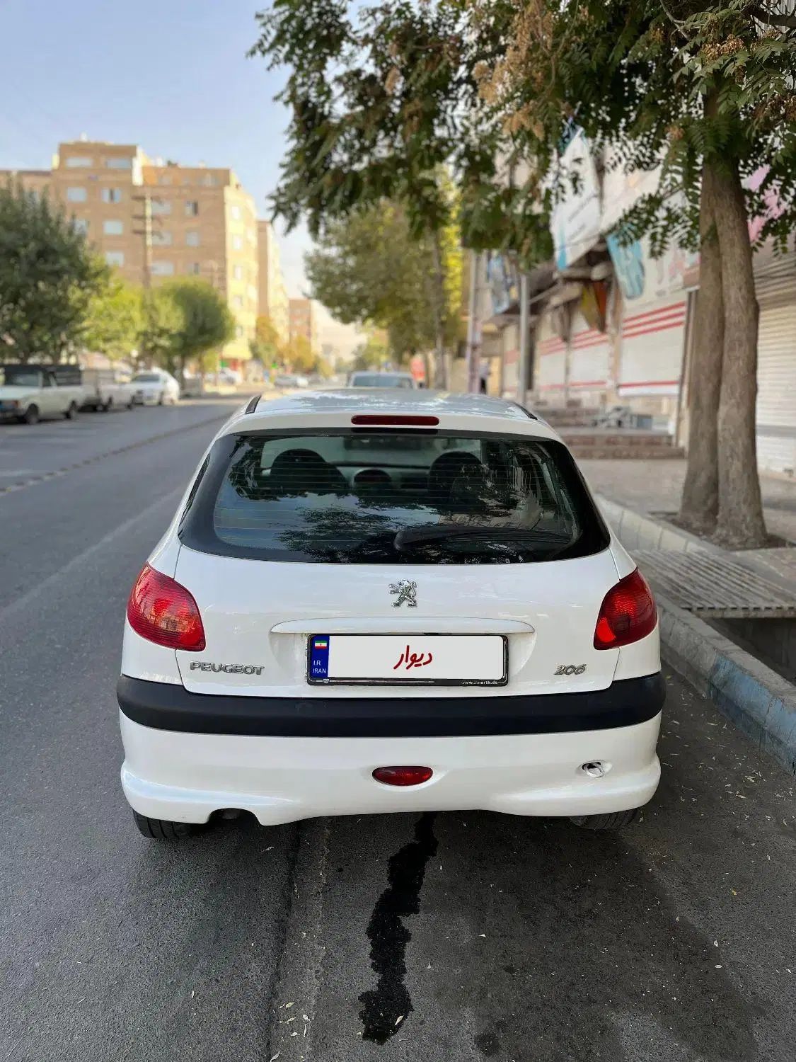 پژو 206 تیپ 5 - 1393