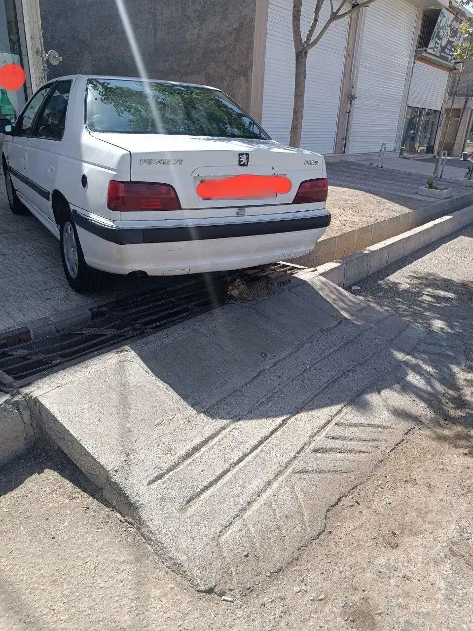 پژو پارس دوگانه سوز - 1389
