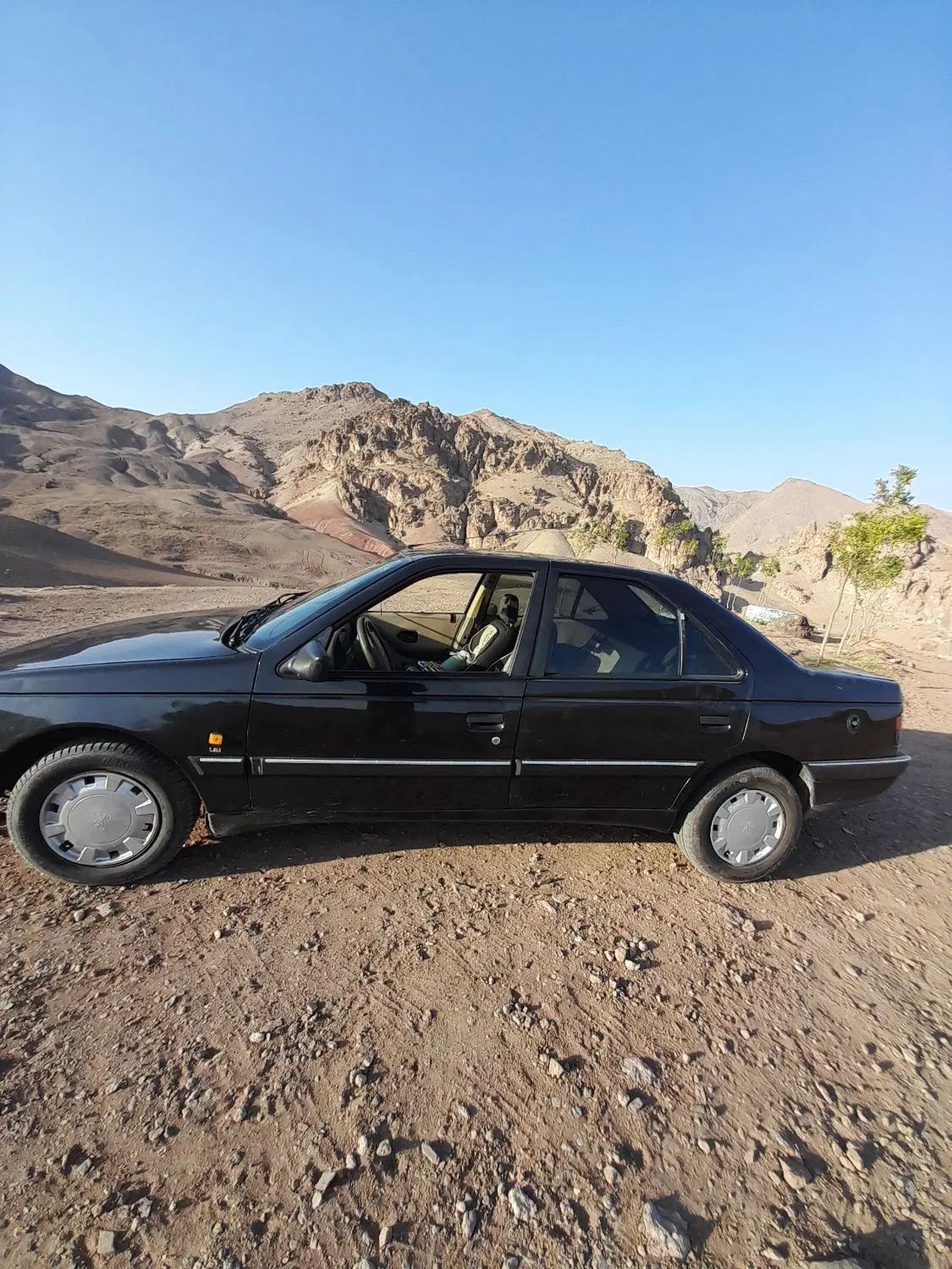 پژو 405 GLX - 1391