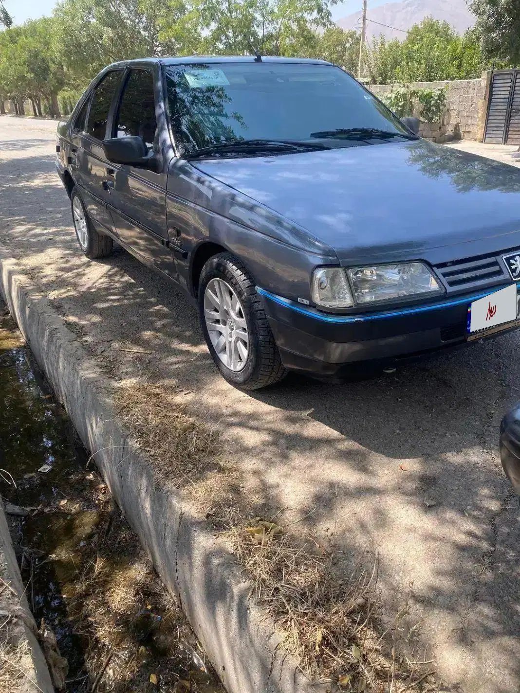 پژو 405 GL - دوگانه سوز CNG - 1379