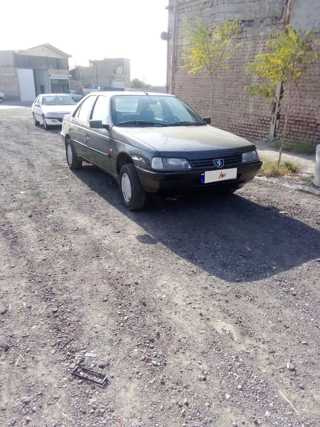 پژو روآ دوگانه سوز - 1386
