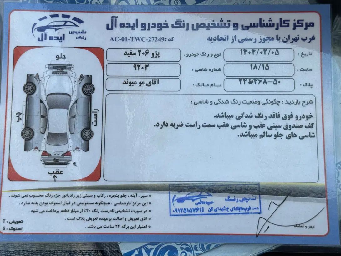 پژو 206 تیپ 5 - 1394