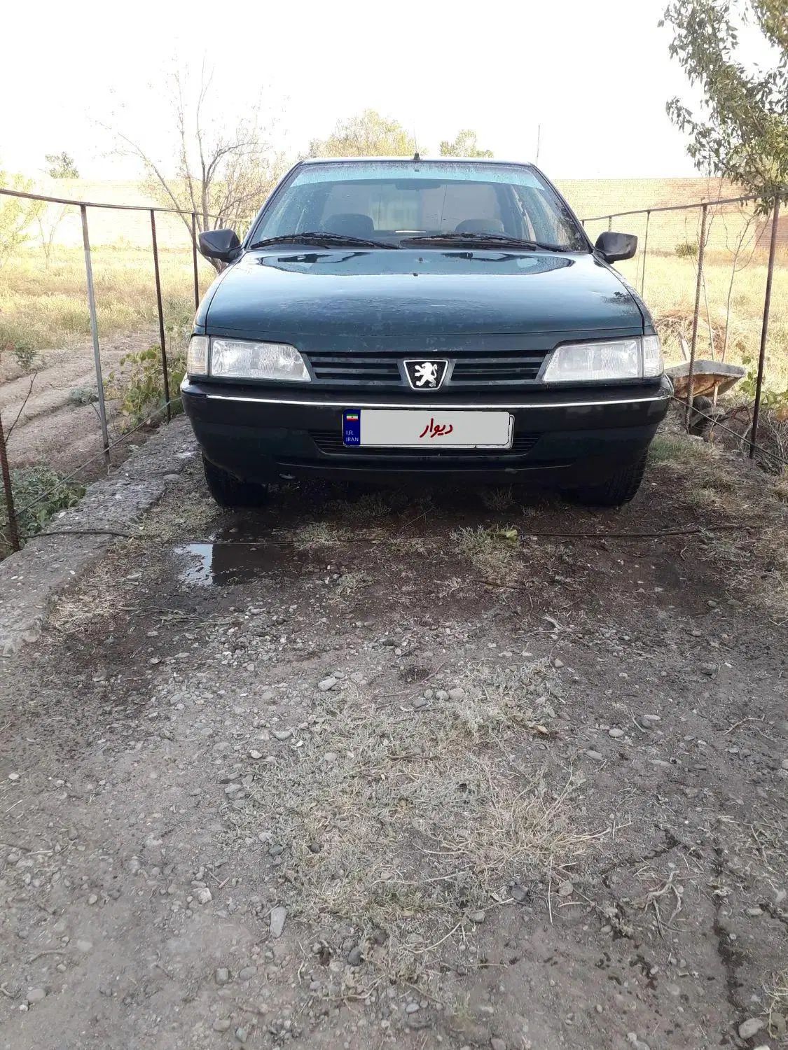 پژو آردی دوگانه سوز CNG - 1383