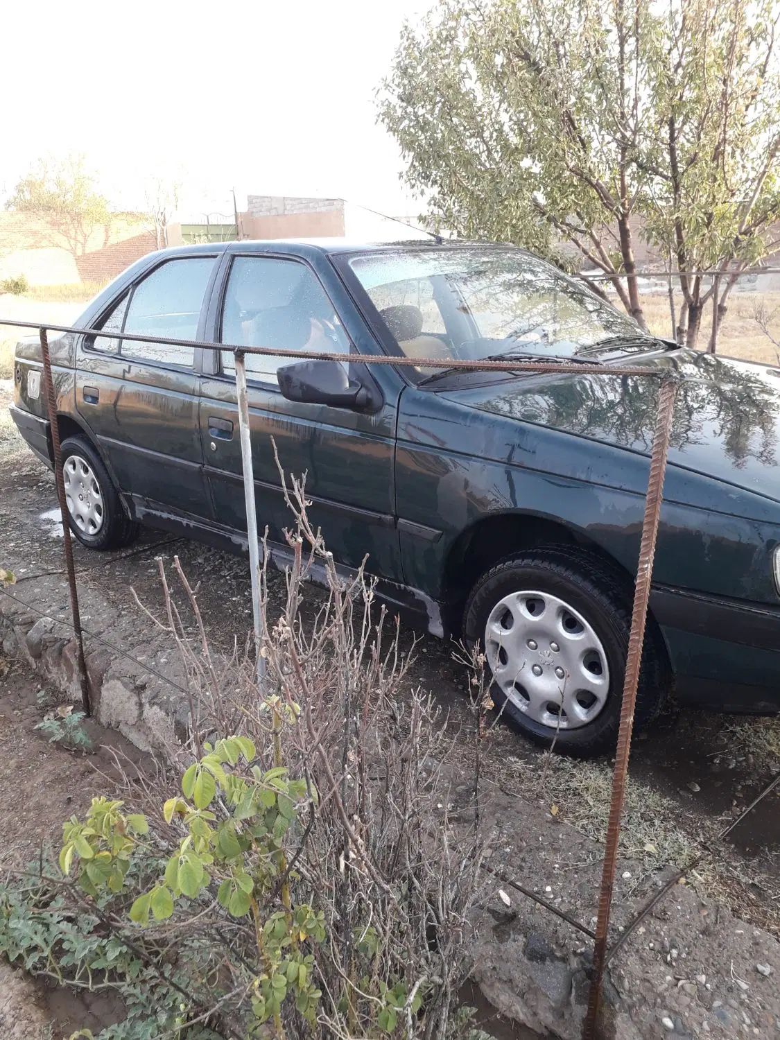 پژو آردی دوگانه سوز CNG - 1383