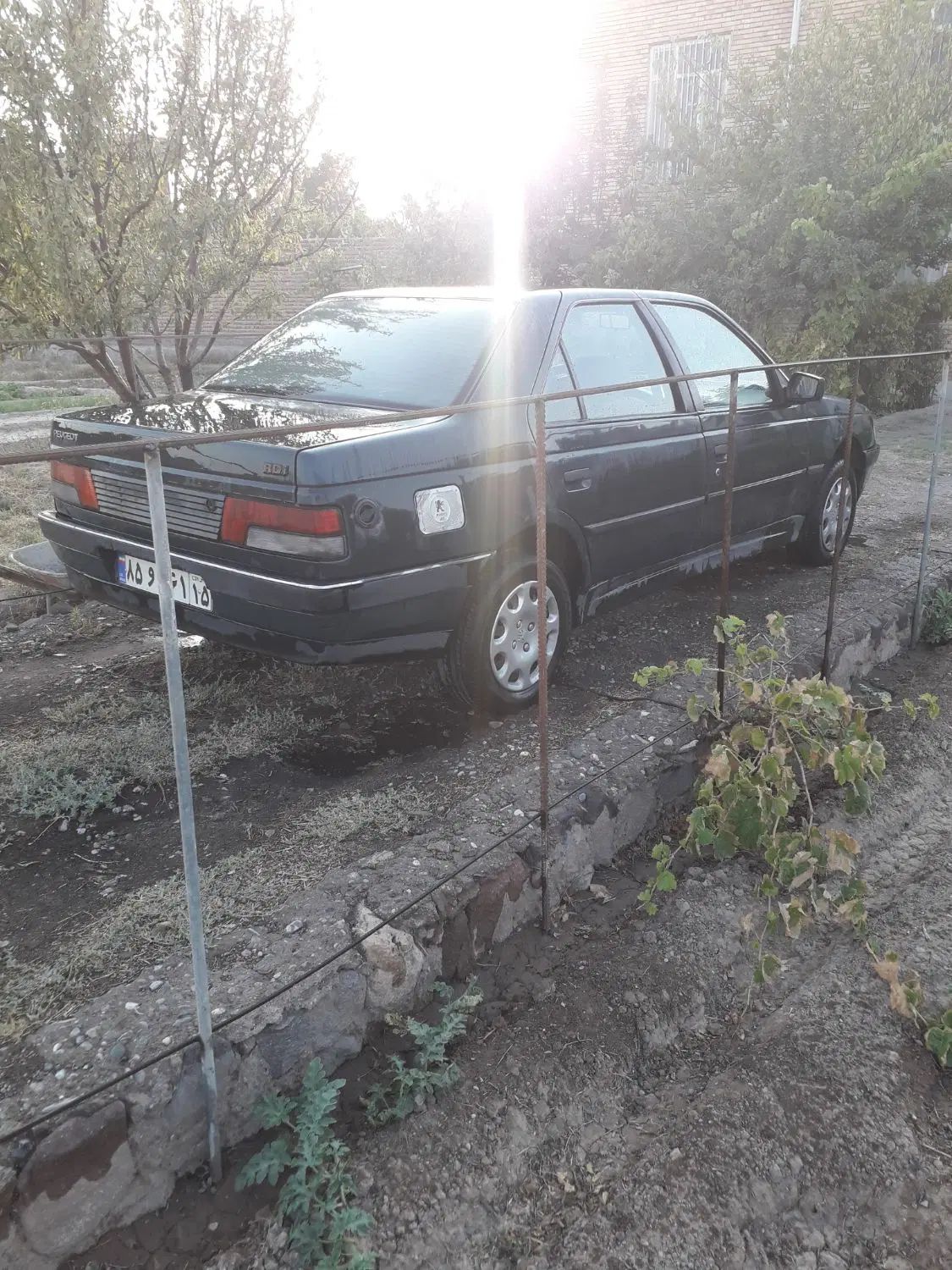 پژو آردی دوگانه سوز CNG - 1383
