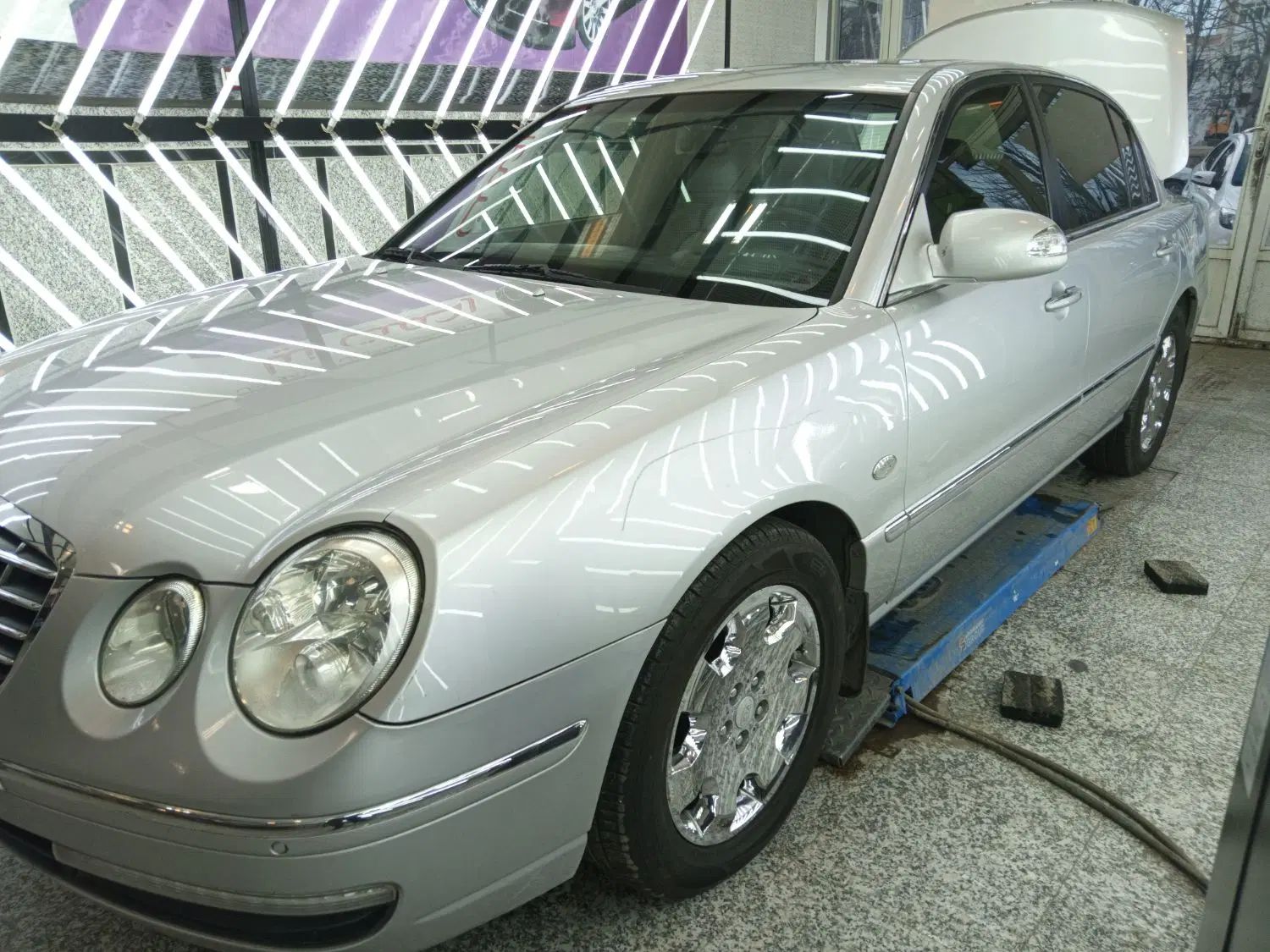 کیا اپیروس رویال - 2008