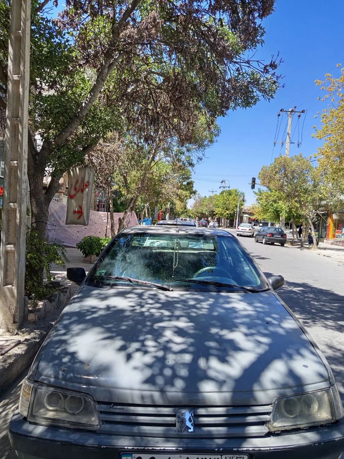 پژو آردی دوگانه سوز CNG - 1380