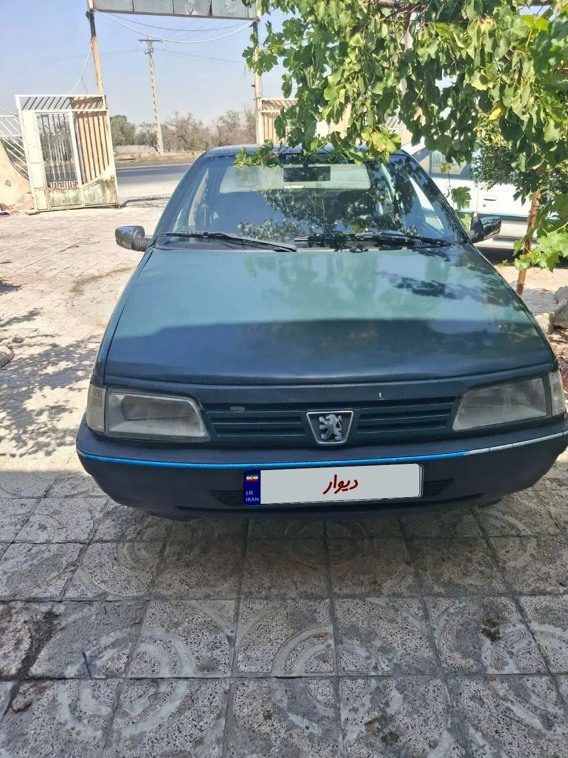 پژو روآ دوگانه سوز - 1384
