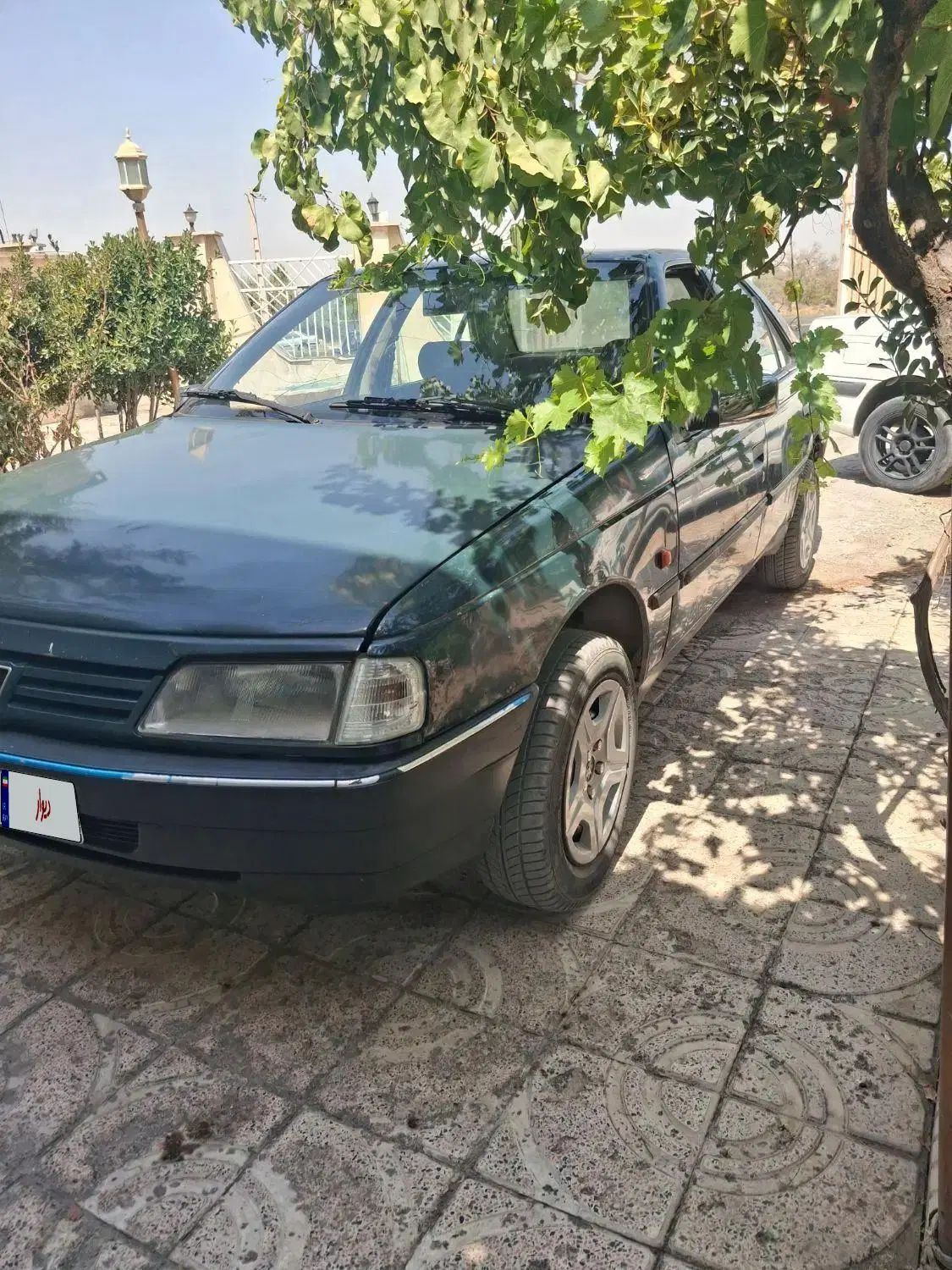 پژو روآ دوگانه سوز - 1384