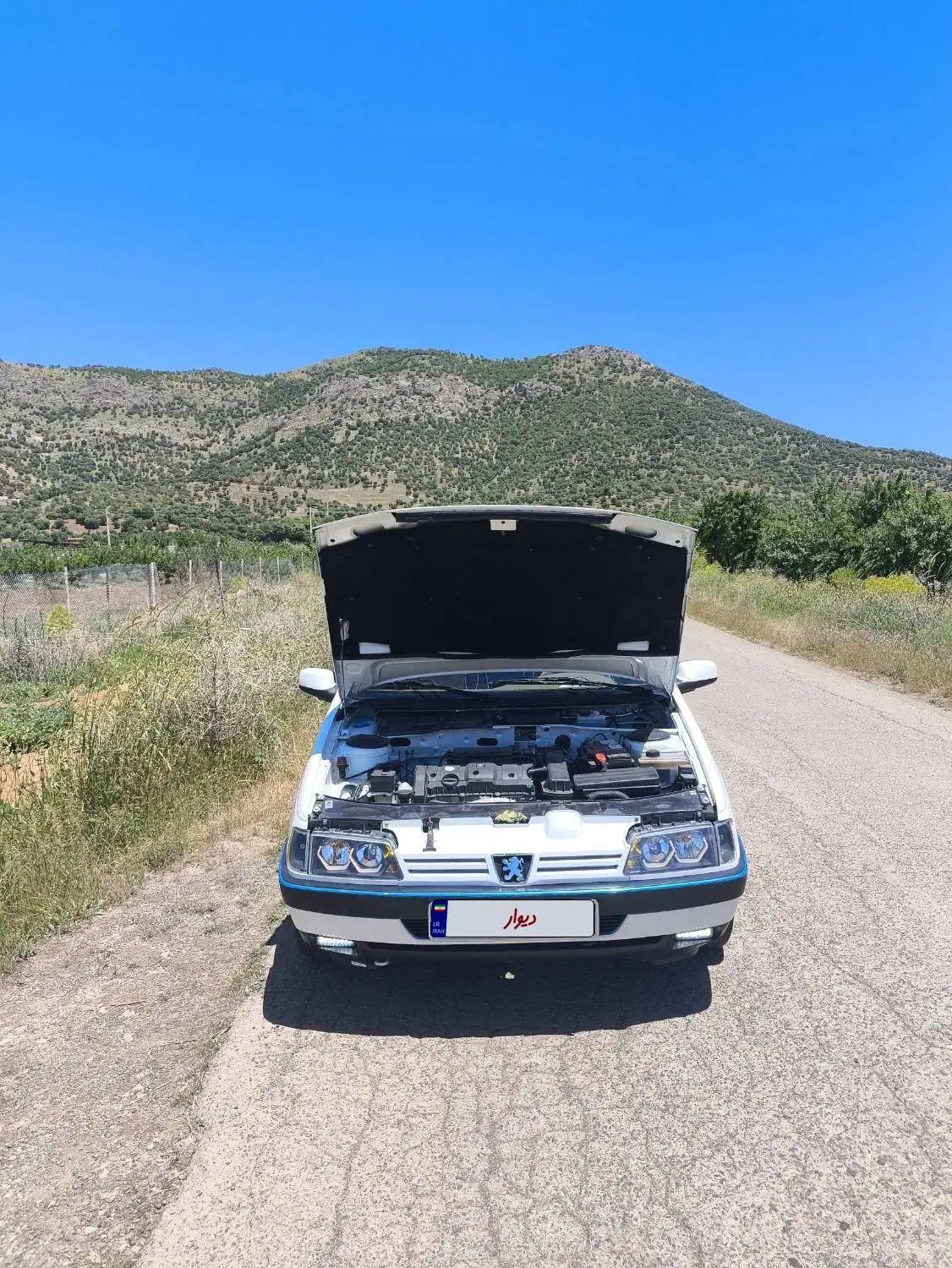 پژو 405 SLX بنزینی TU5 - 1391