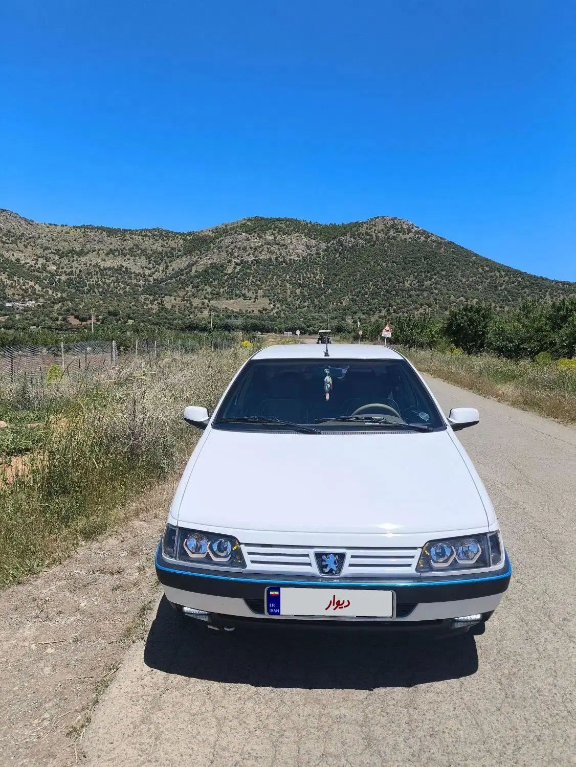 پژو 405 SLX بنزینی TU5 - 1391