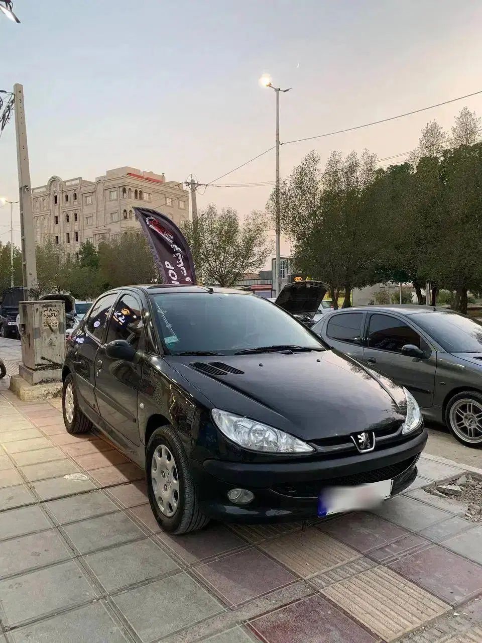 پژو 206 تیپ 5 - 1396