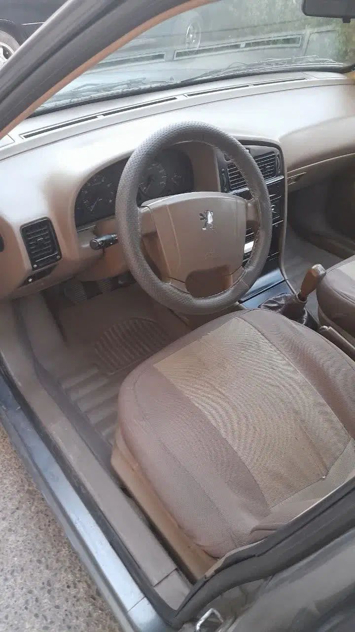پژو 405 GLX - دوگانه سوز - 1391