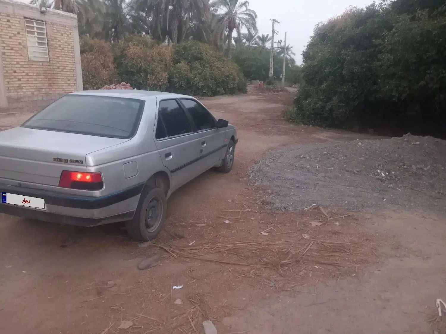 پژو 405 GLX - دوگانه سوز - 1395