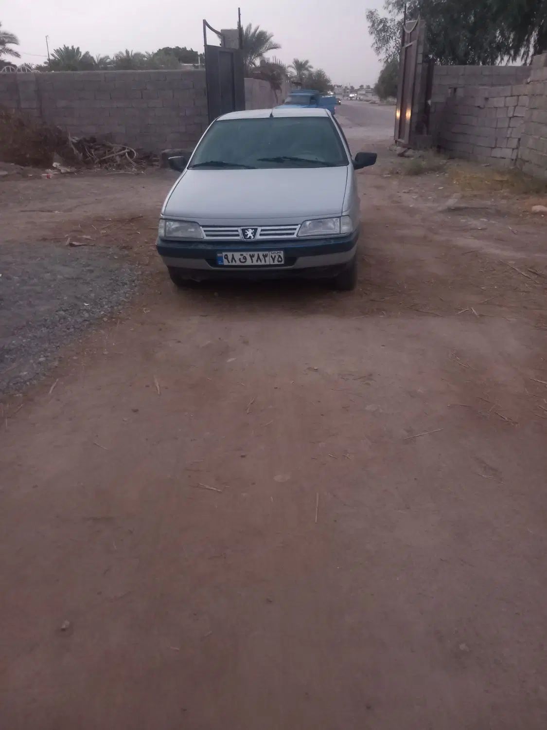 پژو 405 GLX - دوگانه سوز - 1395
