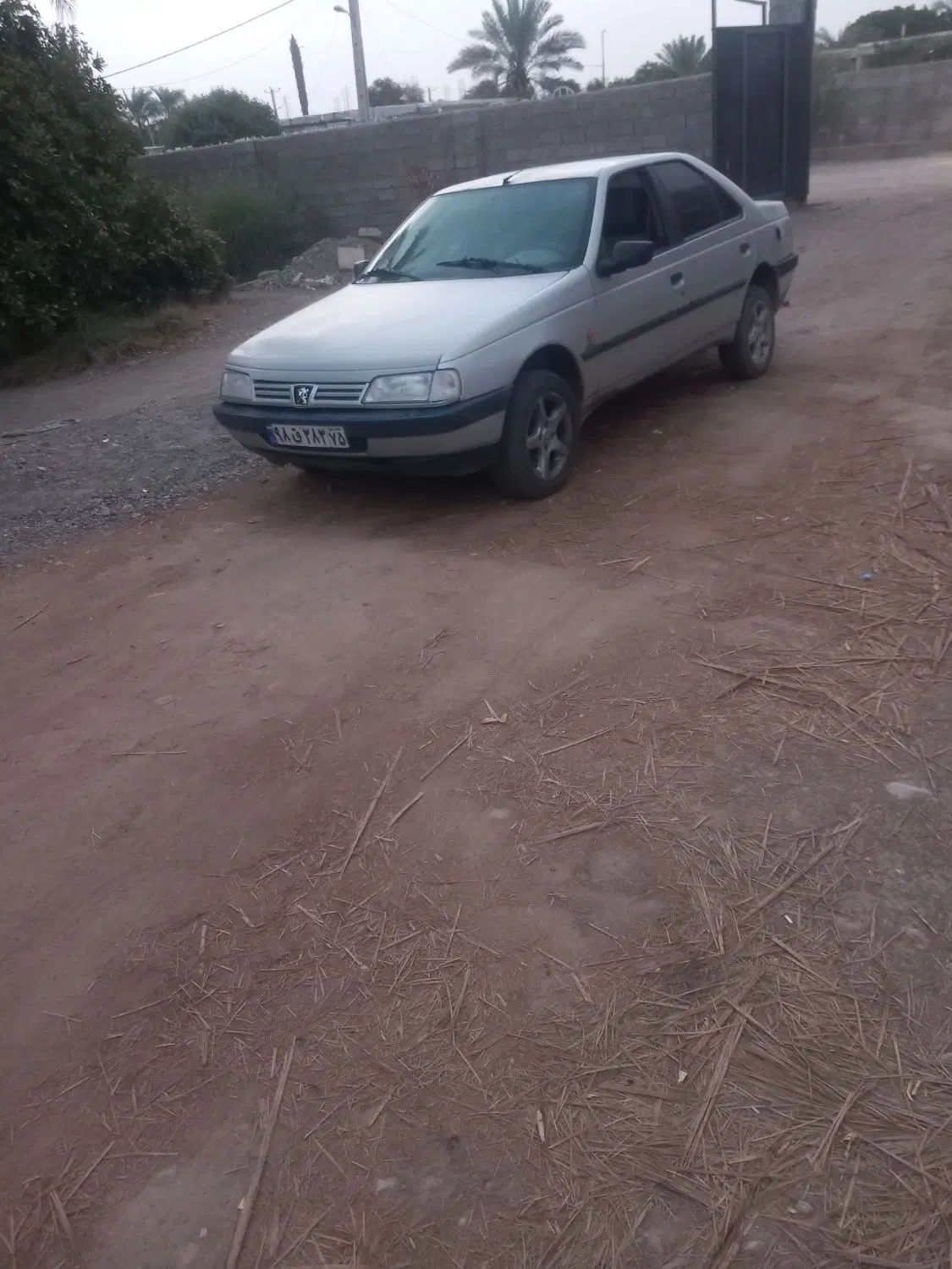 پژو 405 GLX - دوگانه سوز - 1395