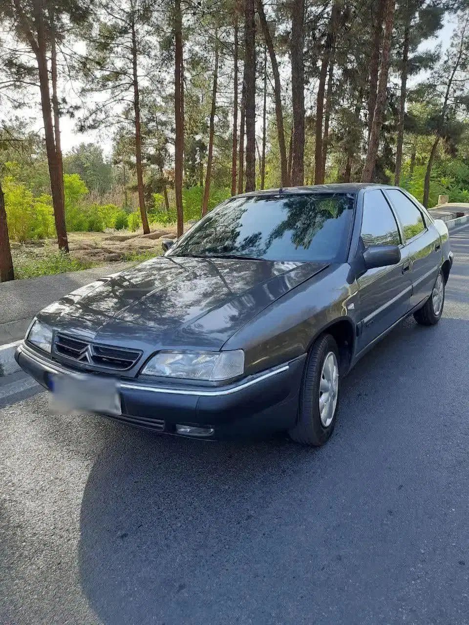 سیتروئن زانتیا SX - 1387
