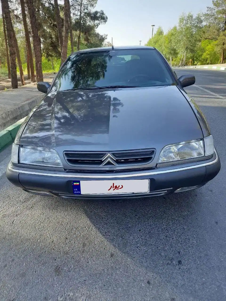 سیتروئن زانتیا SX - 1387