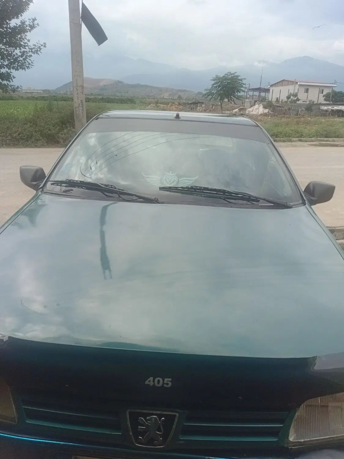 پژو آردی دوگانه سوز CNG - 1380
