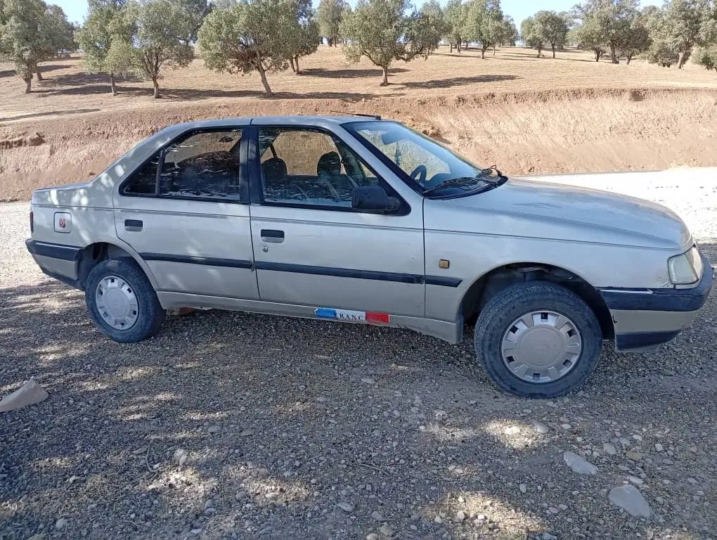 پژو 405 GLX - 1389