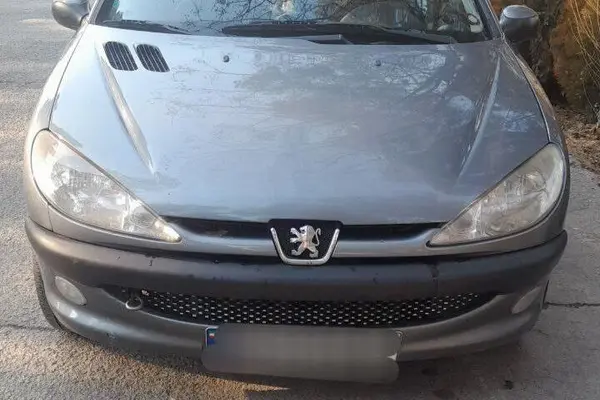 پژو ۲۰۶ صندوق دار v8 - 1393
