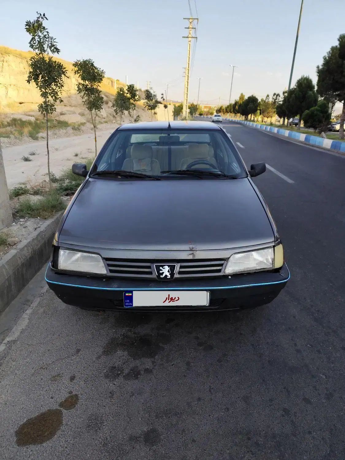 پژو روآ دوگانه سوز - 1386