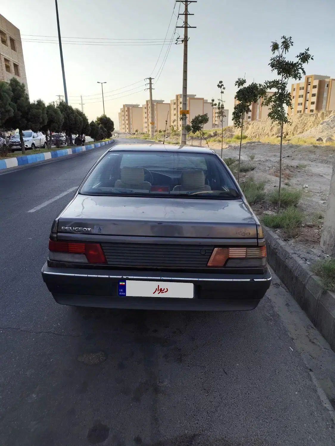 پژو روآ دوگانه سوز - 1386