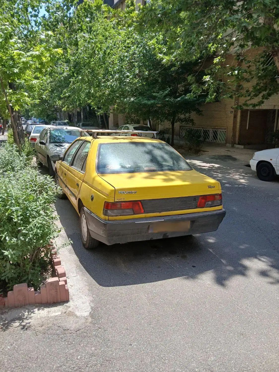 پژو روآ دوگانه سوز - 1388