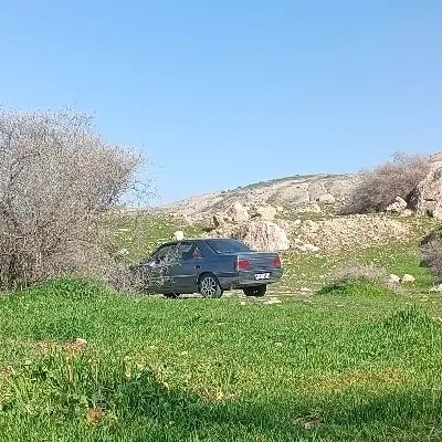 خودرو پژو، 405 آگهی ann_20307149
