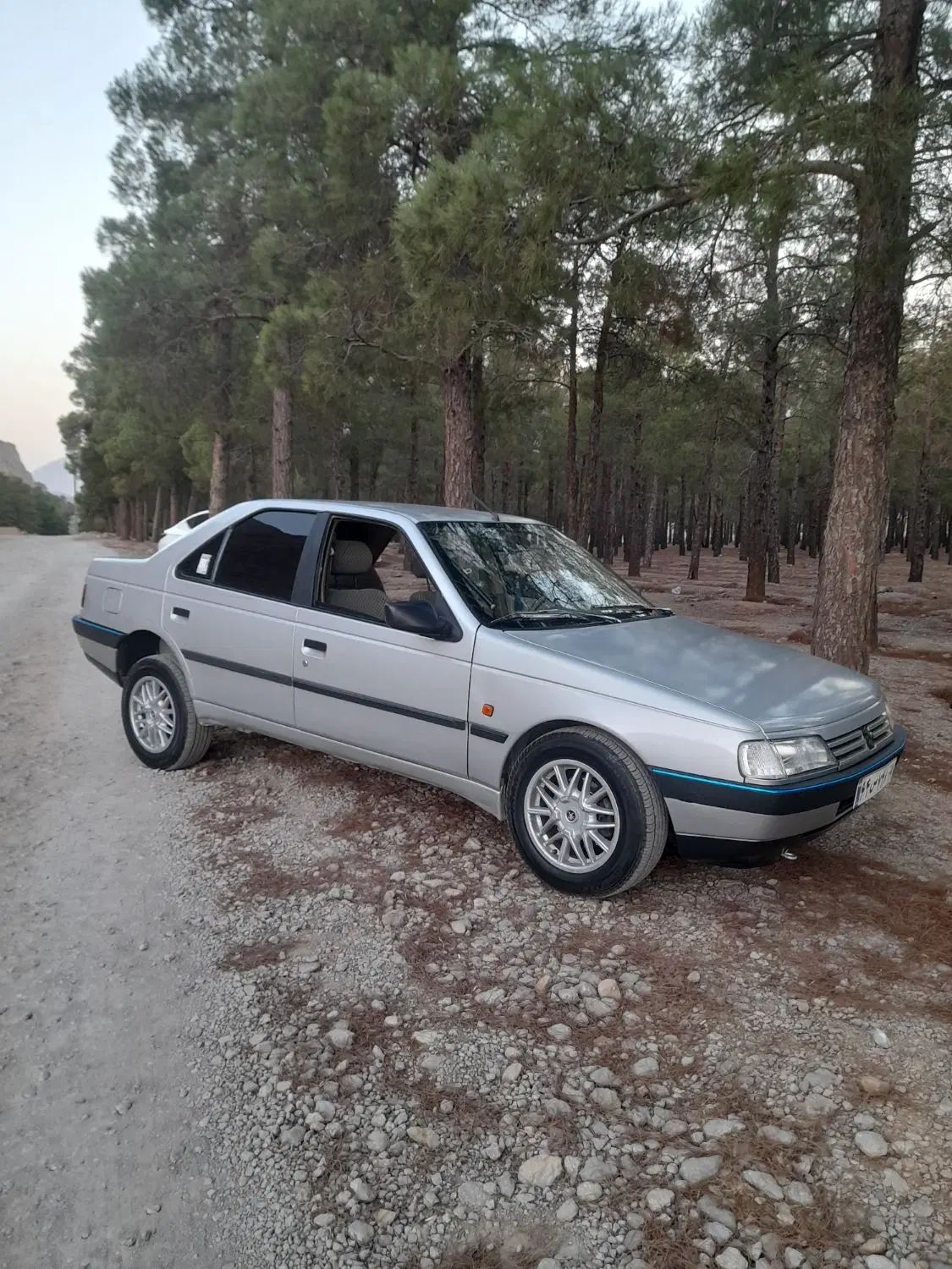 پژو 405 GLX - 1391